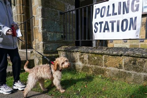 bcpo station 1 photos|17 adorable pictures of dogs at polling stations as country votes in .